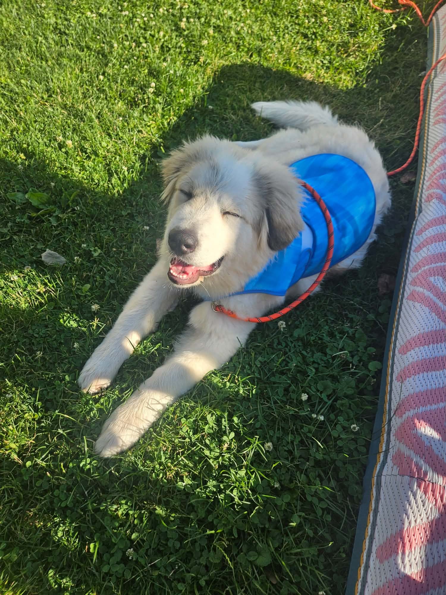 Oscar