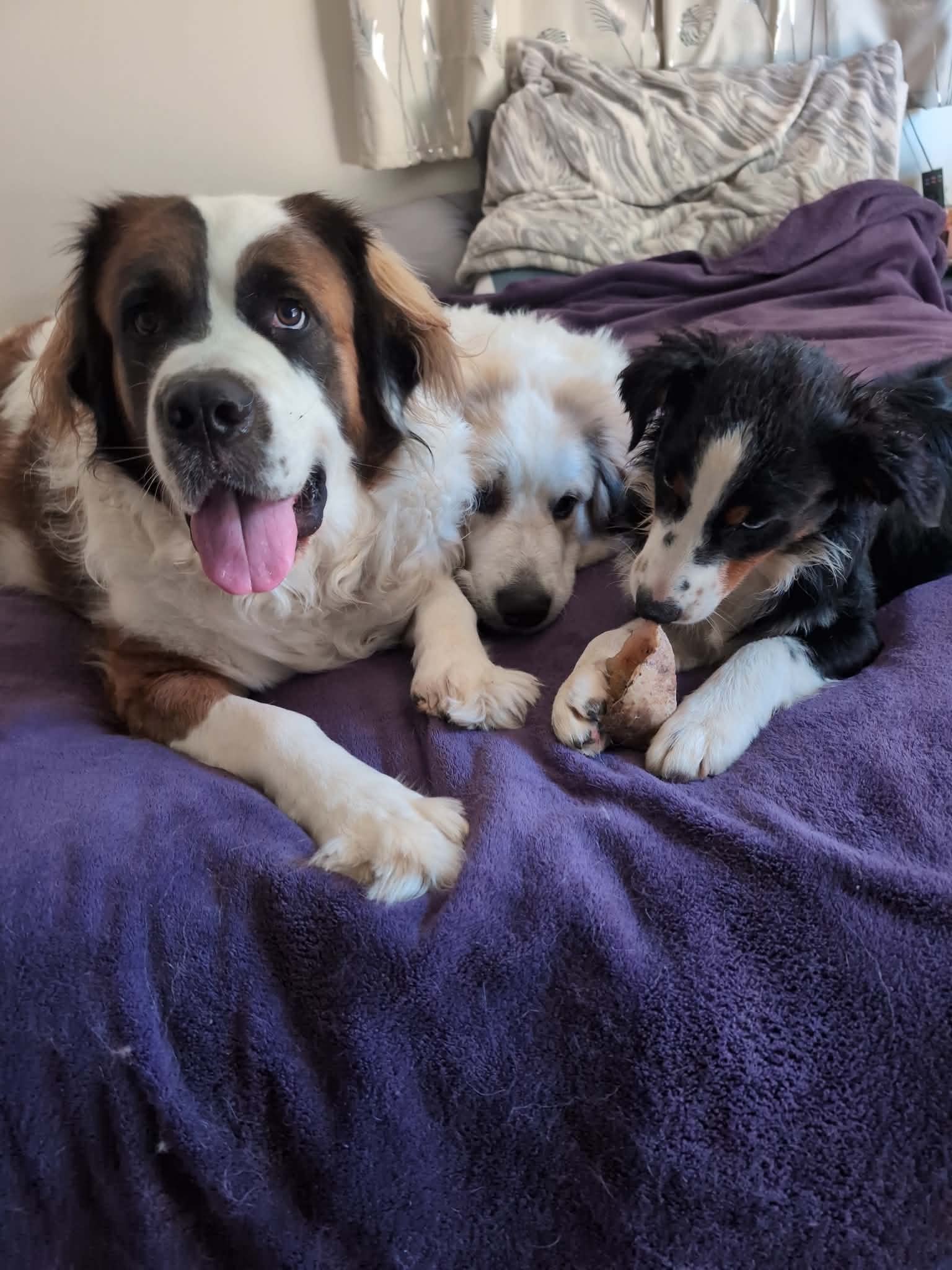 The whole crew