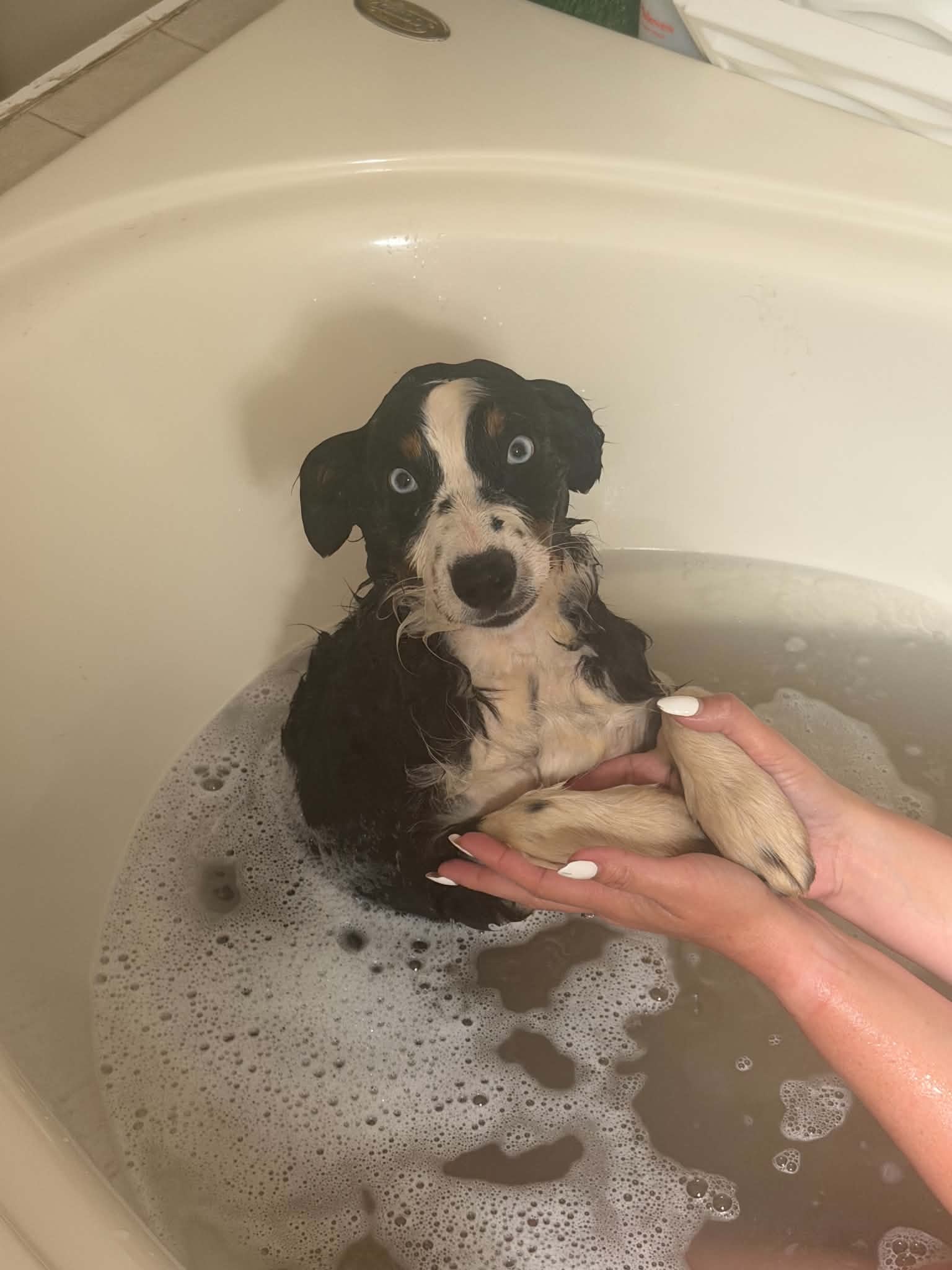 Squeaky clean and proud of it