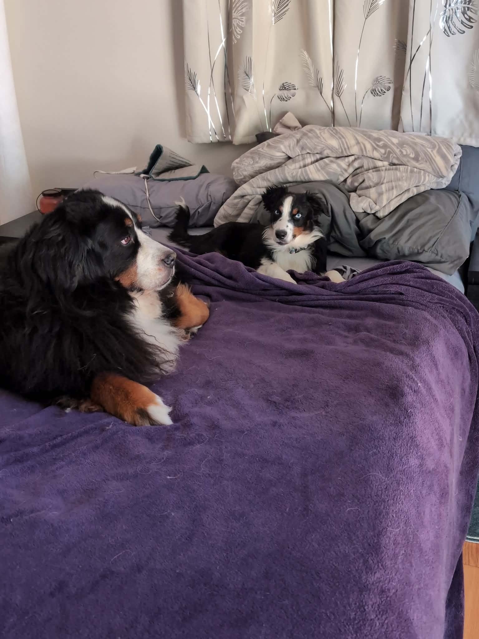 Sharing the bed, obviously