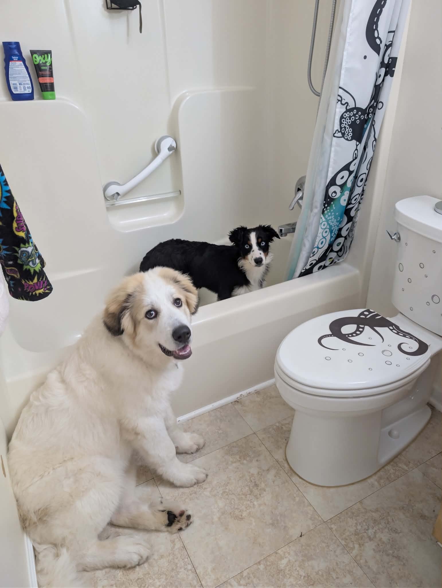 The Guiding Paw family moment