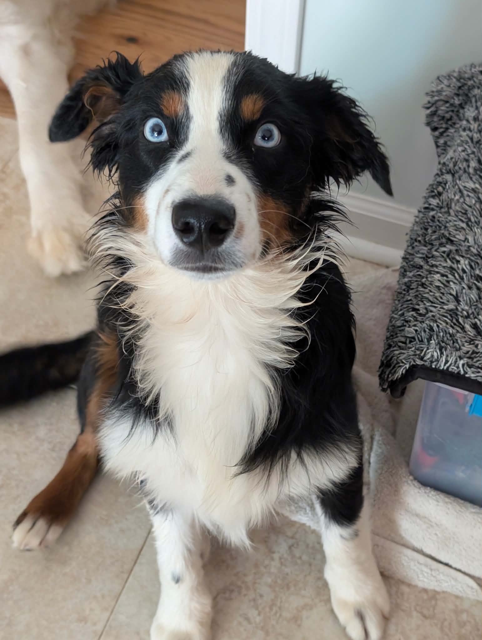 Bath day survivor