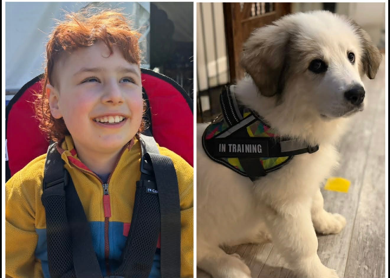The Guiding Paw family moment
