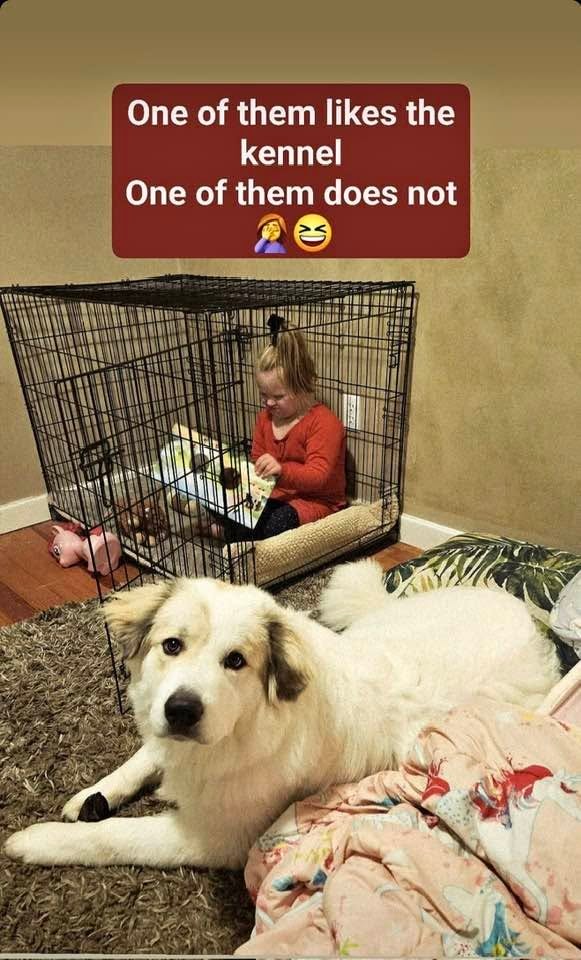 Dylan with her service dog Oscar